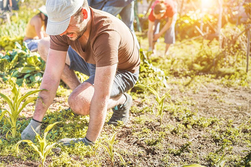 Potagers & Compagnie - Nos formations