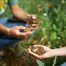 Acquérir une bonne compréhension du fonctionnement d’un sol cultivé